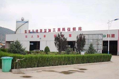 我國開發(fā)出6大系列260多種馬鈴薯主食產(chǎn)品