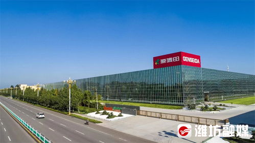 千里沃野競風(fēng)流 松原軟件銷售的新篇章